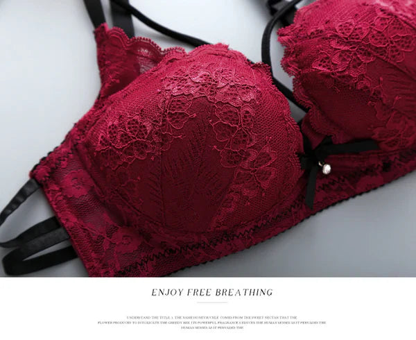 Flourish Push Up Padded Lace Bra And Panty Set Back Closure Seamless Lingerie Set Red 1801